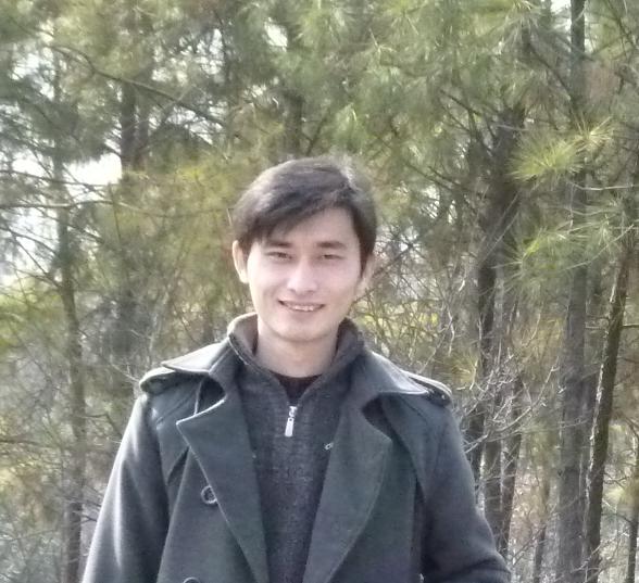 晨枫照片