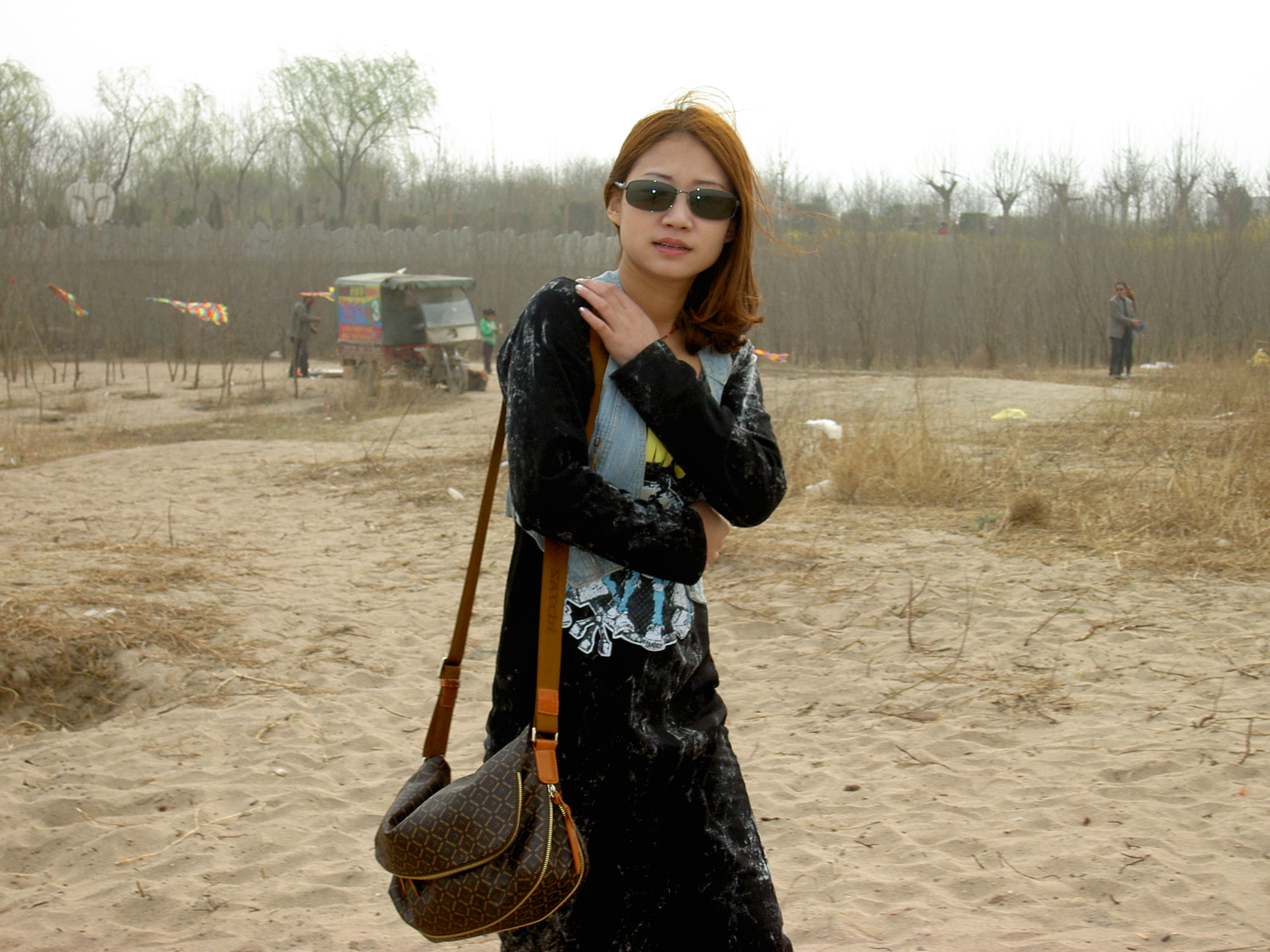 顾小北seo 真爱网